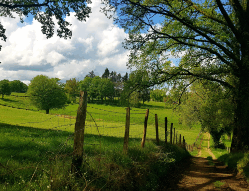 En Creuse, vacances heureuses : Pourquoi choisir la Creuse pour un séjour ressourçant ?